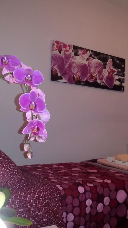 Bed and breakfast Interno 8